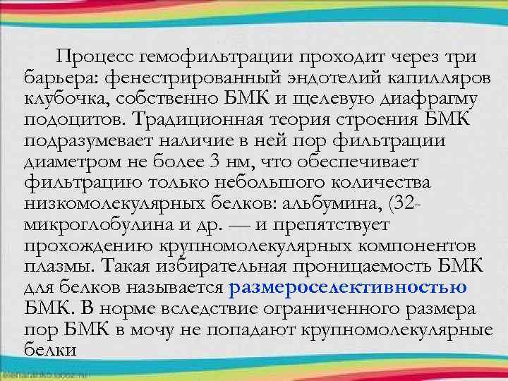 Процесс гемофильтрации проходит через три барьера: фенестрированный эндотелий капилляров клубочка, собственно БМК и щелевую