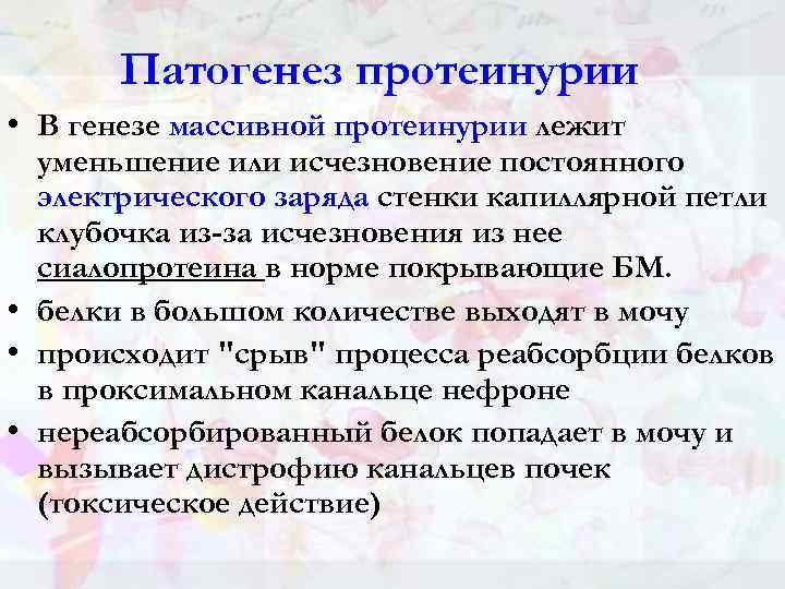 Патогенез протеинурии • В генезе массивной протеинурии лежит уменьшение или исчезновение постоянного электрического заряда