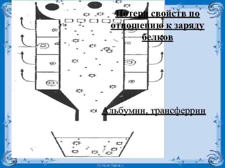 Потеря свойств по отношению к заряду белков Альбумин, трансферрин 
