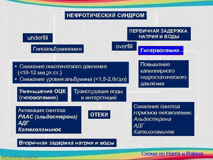 НЕФРОТИЧЕСКИЙ СИНДРОМ ПЕРВИЧНАЯ ЗАДЕРЖКА НАТРИЯ И ВОДЫ underfill overfill Гипоальбуминемия • Снижение онкотического давления