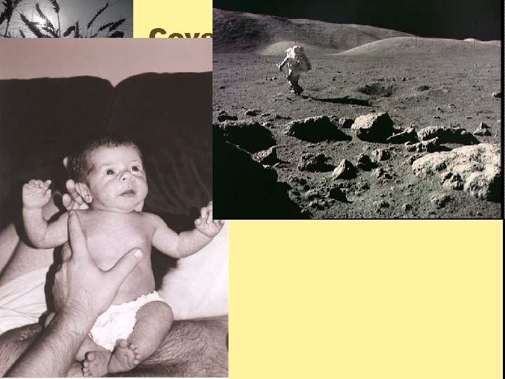 Cover your rear • 1961 Proctor and Gamble invent the disposable diaper • Today,