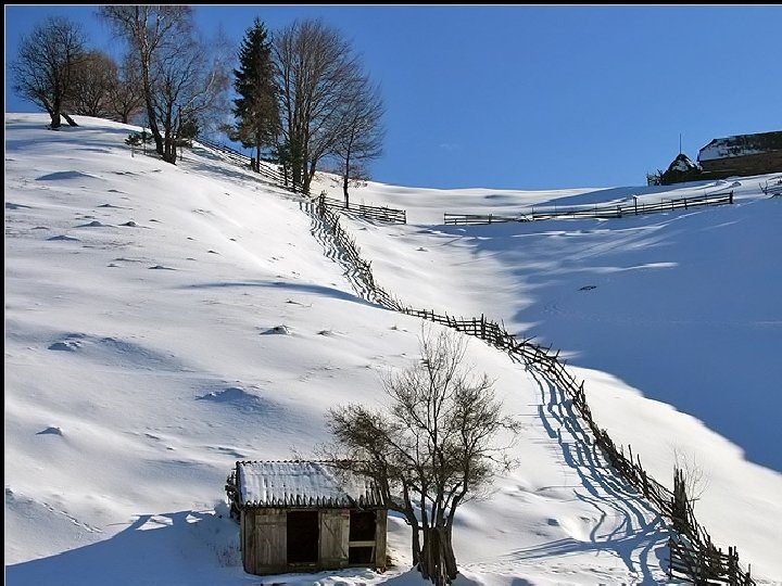 Consumerism • There would, of course, be far less trash if we acquired far