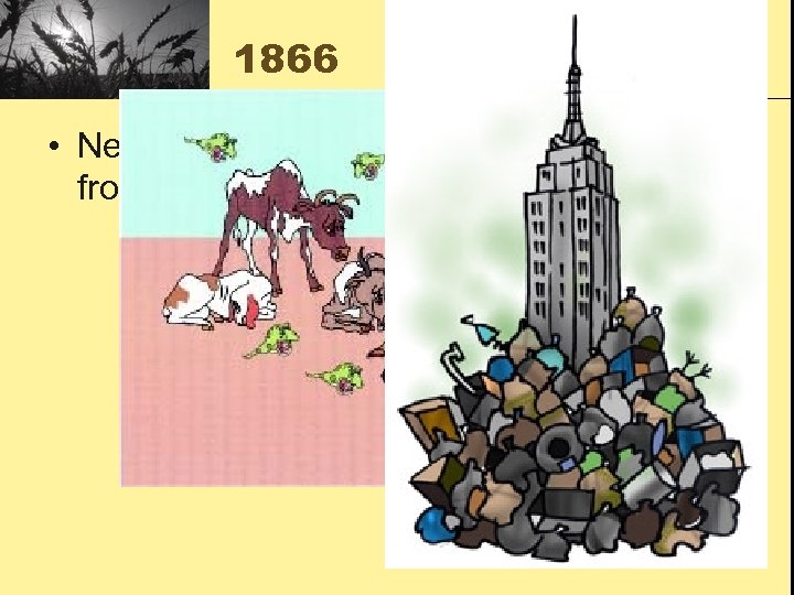 1866 • New York passes a law to prohibit people from throwing dead animals