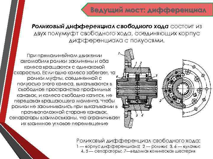 Ведущий мост: дифференциал Роликовый дифференциал свободного хода состоит из двух полумуфт свободного хода, соединяющих