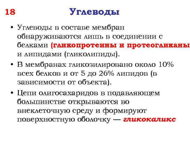18 Углеводы • Углеводы в составе мембран обнаруживаются лишь в соединении с белками (гликопротеины