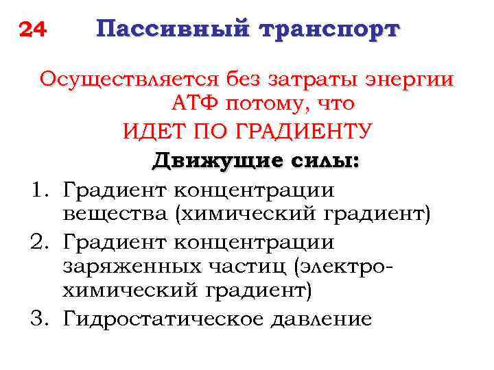 24 Пассивный транспорт Осуществляется без затраты энергии АТФ потому, что ИДЕТ ПО ГРАДИЕНТУ Движущие