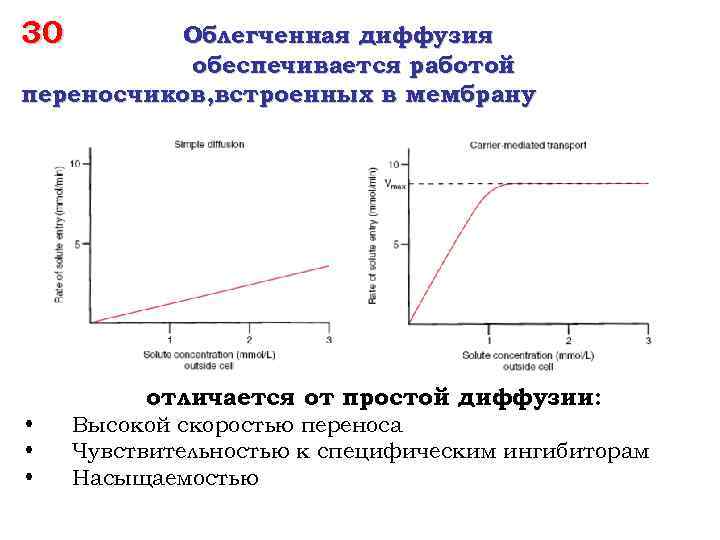 30 Облегченная диффузия обеспечивается работой переносчиков, встроенных в мембрану отличается от простой диффузии: •