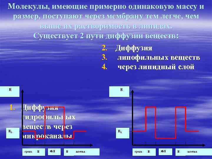 Молекулы, имеющие примерно одинаковую массу и размер, поступают через мембрану тем легче, чем выше