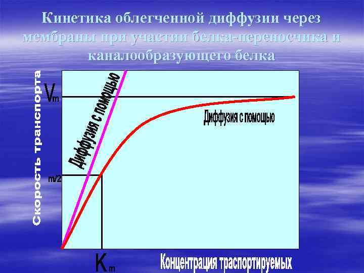 Кинетика облегченной диффузии через мембраны при участии белка-переносчика и каналообразующего белка 