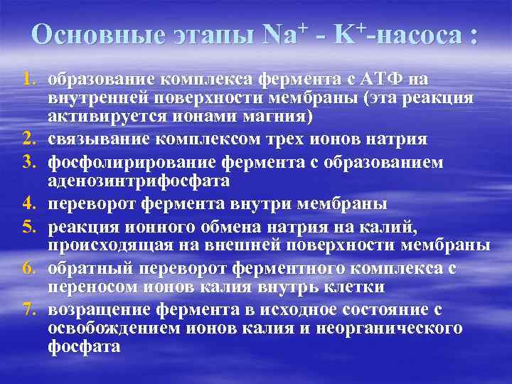 Основные этапы Na+ - K+-насоса : 1. образование комплекса фермента с АТФ на внутренней