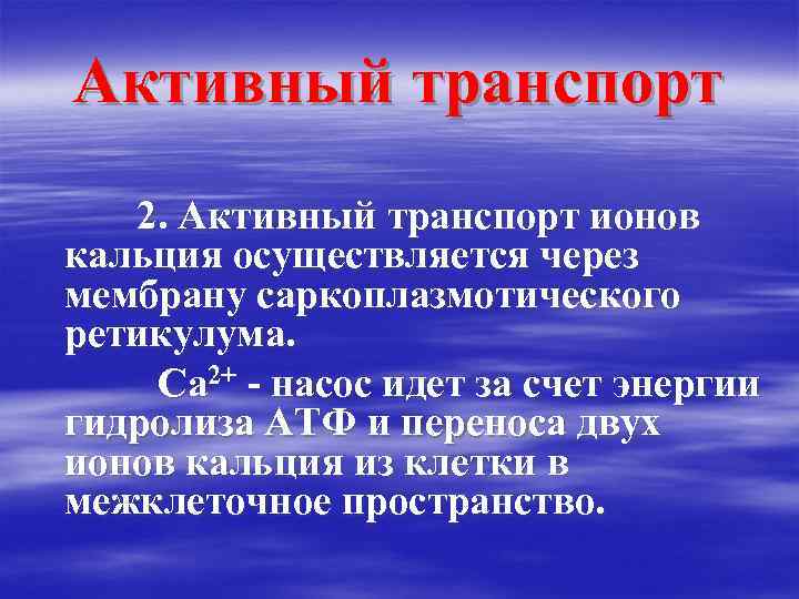 Активный транспорт 2. Активный транспорт ионов кальция осуществляется через мембрану саркоплазмотического ретикулума. Ca 2+