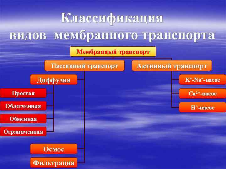 Классификация видов мембранного транспорта Мембранный транспорт Пассивный транспорт Диффузия Активный транспорт K+-Na+-насос Простая Са