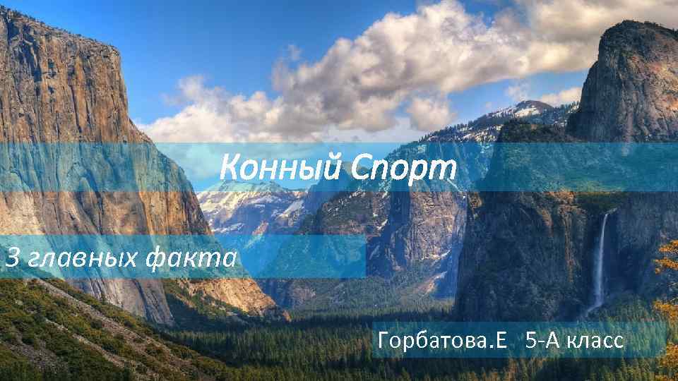 Конный Спорт 3 главных факта Горбатова. Е 5 -А класс 