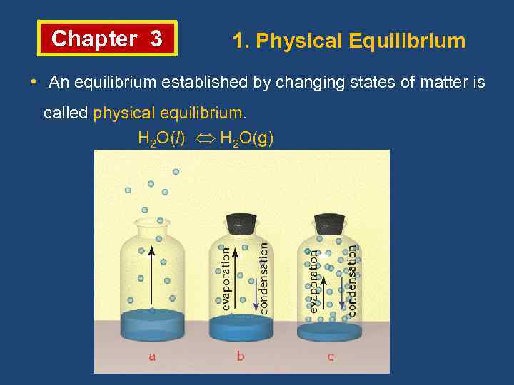 Chapter 3 1. Physical Equilibrium • An equilibrium established by changing states of matter