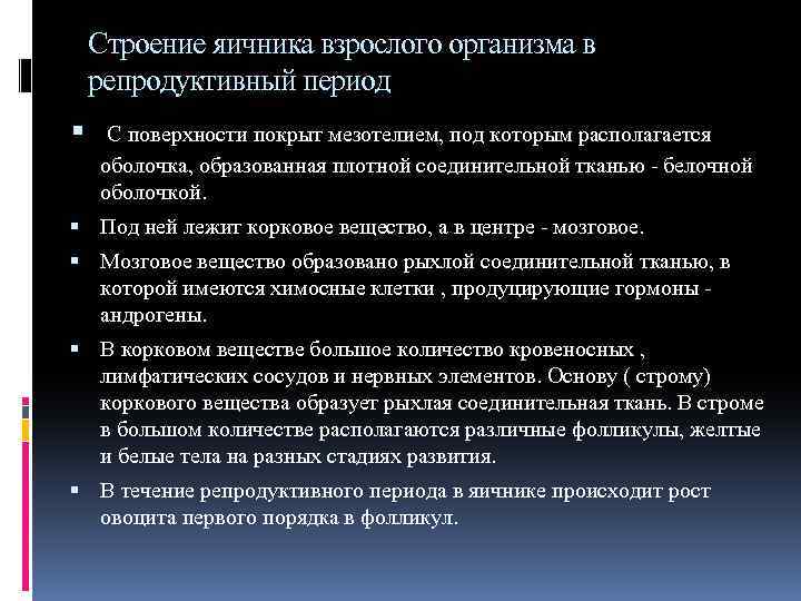 Строение яичника взрослого организма в репродуктивный период С поверхности покрыт мезотелием, под которым располагается