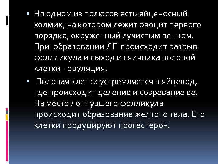  На одном из полюсов есть яйценосный холмик, на котором лежит овоцит первого порядка,