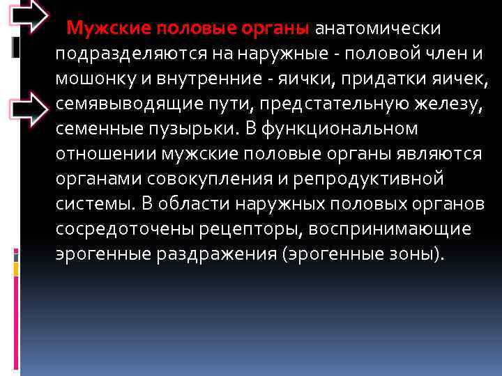 Мужские половые органы анатомически подразделяются на наружные - половой член и мошонку и внутренние