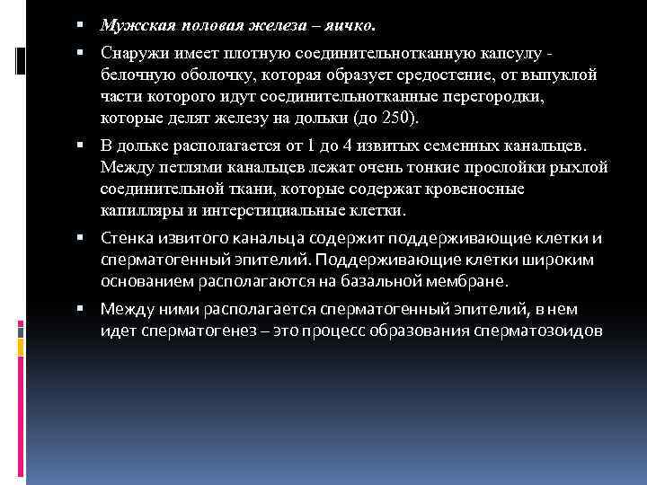  Мужская половая железа – яичко. Снаружи имеет плотную соединительнотканную капсулу белочную оболочку, которая
