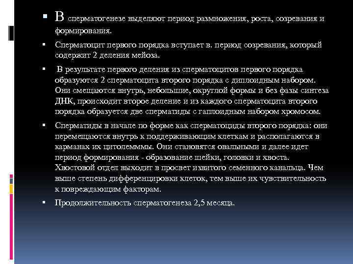  В сперматогенезе выделяют период размножения, роста, созревания и формирования. Сперматоцит первого порядка вступает
