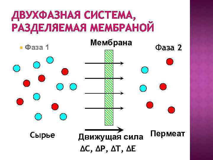 ДВУХФАЗНАЯ СИСТЕМА, РАЗДЕЛЯЕМАЯ МЕМБРАНОЙ Фаза 1 Сырье Мембрана Фаза 2 Движущая сила Пермеат ΔC,