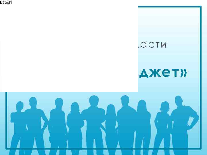 Реализация в Кировской области проекта «Народный бюджет» 