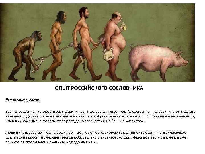 ОПЫТ РОССИЙСКОГО СОСЛОВНИКА Животное, скот Все то создание, которое имеет душу живу, называется животное.