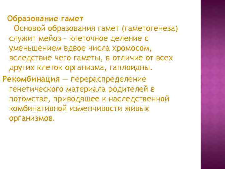 Образование гамет Основой образования гамет (гаметогенеза) служит мейоз – клеточное деление с уменьшением вдвое