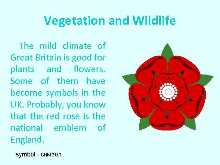 Vegetation and Wildlife The mild climate of Great Britain is good for plants and