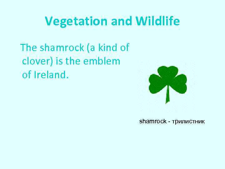 Vegetation and Wildlife The shamrock (a kind of clover) is the emblem of Ireland.