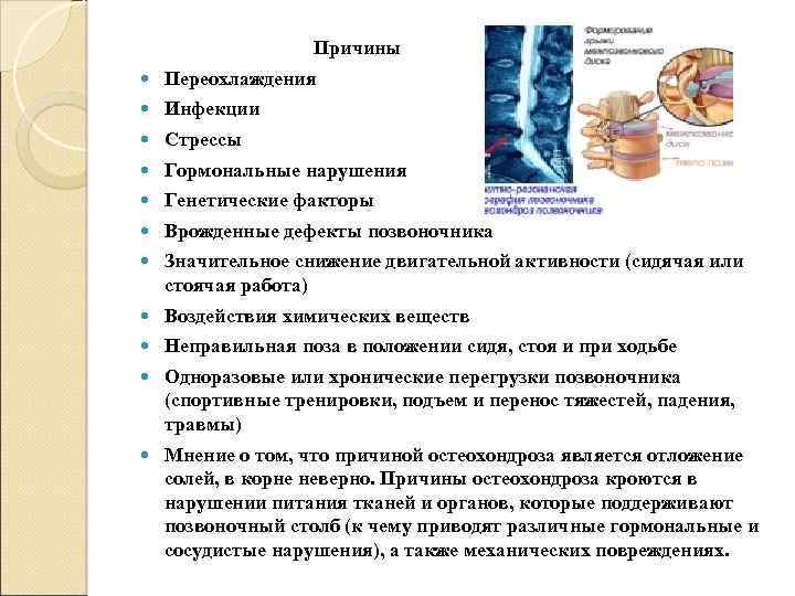  Причины Переохлаждения Инфекции Стрессы Гормональные нарушения Генетические факторы Врожденные дефекты позвоночника Значительное снижение