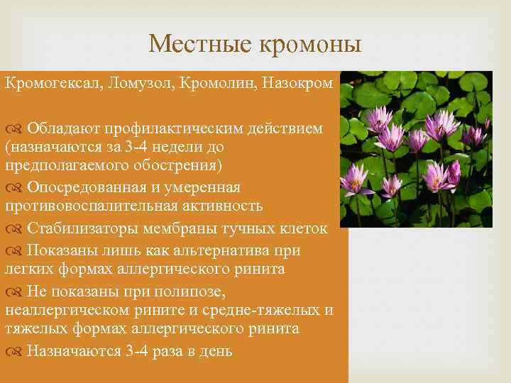 Местные кромоны Кромогексал, Ломузол, Кромолин, Назокром Обладают профилактическим действием (назначаются за 3 -4 недели