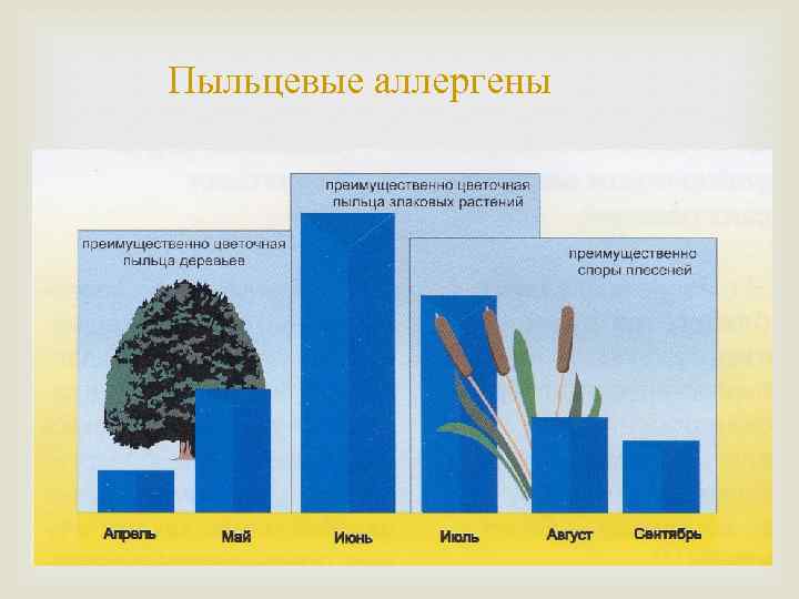 Пыльцевые аллергены 