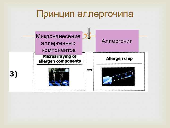 Принцип аллергочипа Микронанесение аллергенных компонентов Аллергочип 