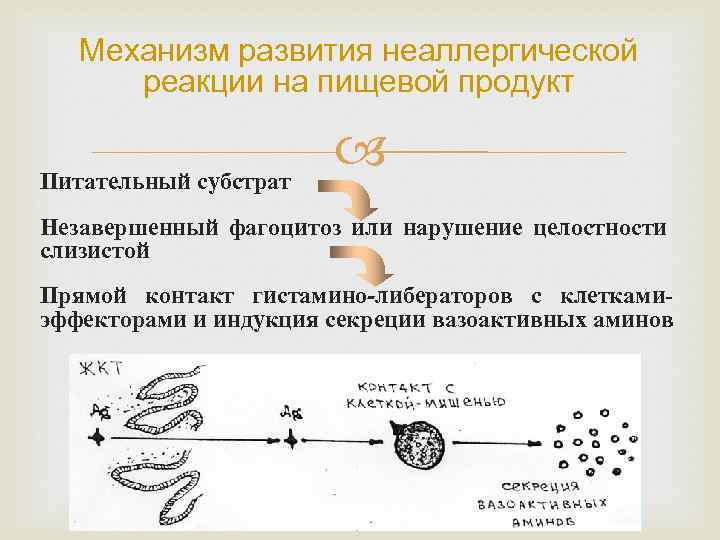 Механизм развития неаллергической реакции на пищевой продукт Питательный субстрат Незавершенный фагоцитоз или нарушение целостности