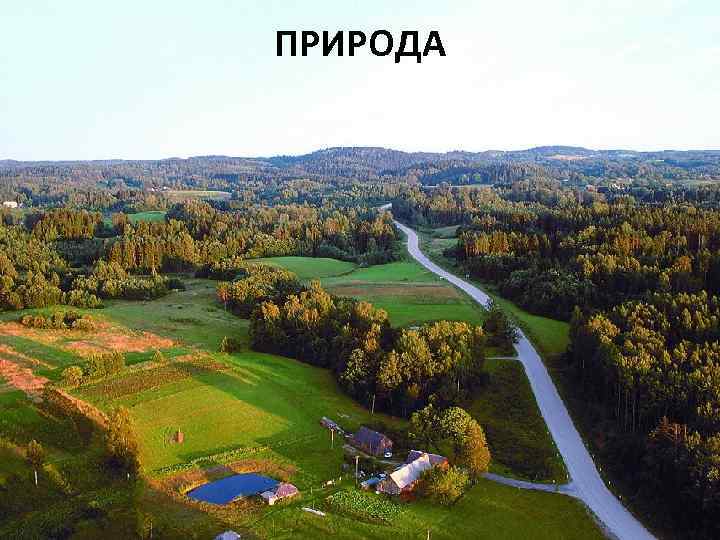 ПРИРОДА 