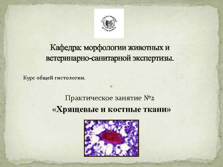 Кафедра: морфологии животных и ветеринарно-санитарной экспертизы. Курс общей гистологии. Практическое занятие № 2 «Хрящевые