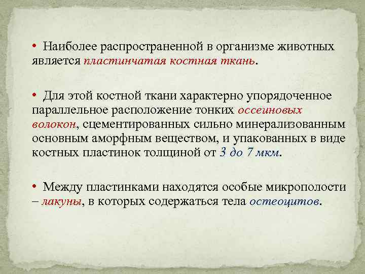  • Наиболее распространенной в организме животных является пластинчатая костная ткань. • Для этой