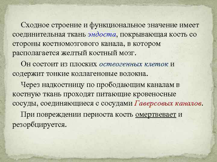 Сходное строение и функциональное значение имеет соединительная ткань эндоста, покрывающая кость со стороны костномозгового