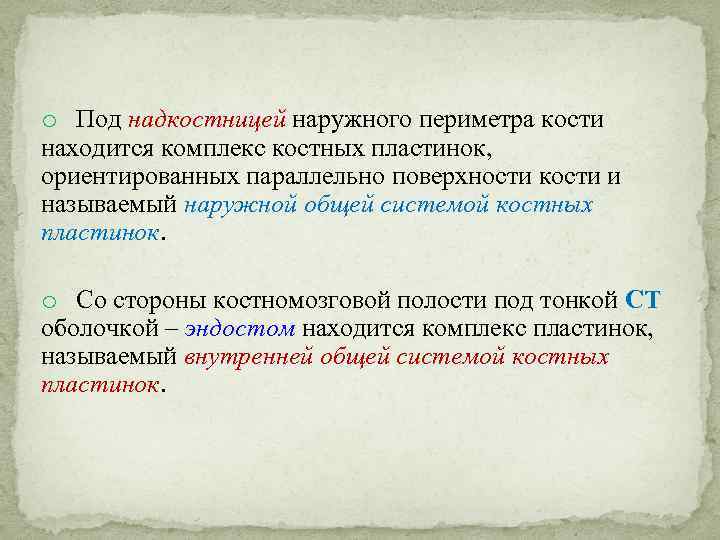 o Под надкостницей наружного периметра кости находится комплекс костных пластинок, ориентированных параллельно поверхности кости