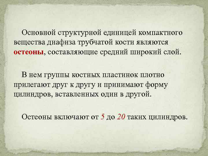 Основной структурной единицей компактного вещества диафиза трубчатой кости являются остеоны, составляющие средний широкий слой.