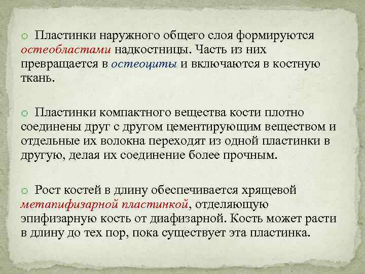 o Пластинки наружного общего слоя формируются остеобластами надкостницы. Часть из них превращается в остеоциты