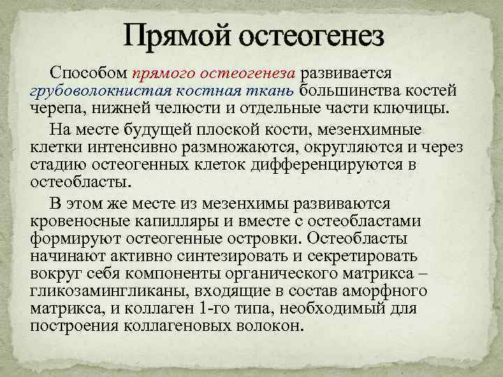 Прямой остеогенез Способом прямого остеогенеза развивается грубоволокнистая костная ткань большинства костей черепа, нижней челюсти