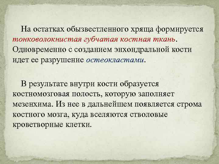 На остатках обызвестленного хряща формируется тонковолокнистая губчатая костная ткань. Одновременно с созданием энхондральной кости