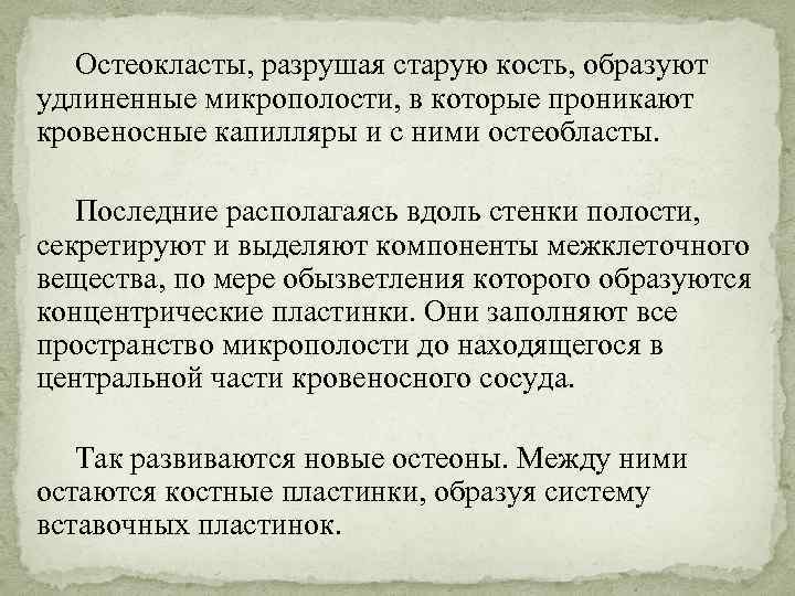 Остеокласты, разрушая старую кость, образуют удлиненные микрополости, в которые проникают кровеносные капилляры и с