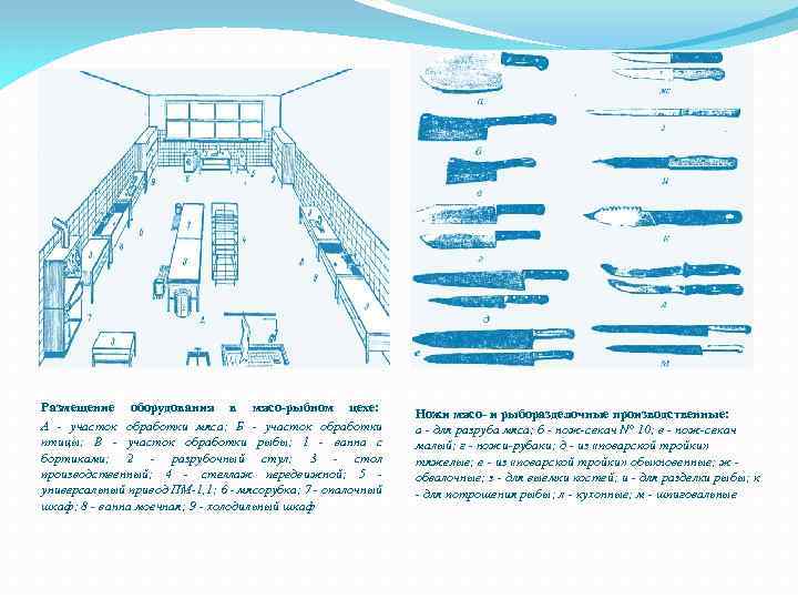  Размещение оборудования в мясо-рыбном цехе: А - участок обработки мяса; Б - участок