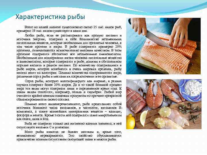 Характеристика рыбы Всего на нашей планете существовало около 25 тыс. видов рыб, примерно 19