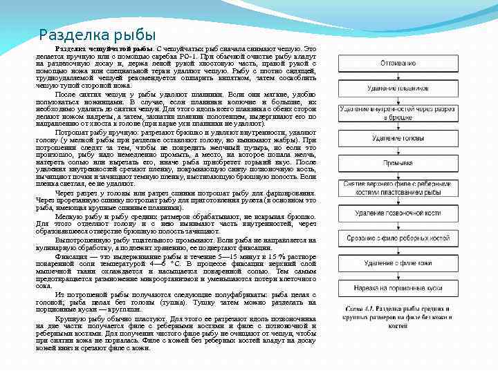 Разделка рыбы Разделка чешуйчатой рыбы. С чешуйчатых рыб сначала снимают чешую. Это делается вручную