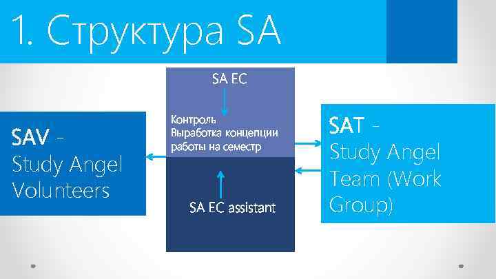 1. Структура SA SA EC SAV Study Angel Volunteers Контроль Выработка концепции работы на