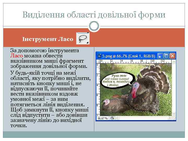 Виділення області довільної форми Інструмент Ласо За допомогою інструмента Ласо можна обвести вказівником миші