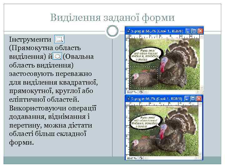 Виділення заданої форми Інструменти (Прямокутна область виділення) й (Овальна область виділення) застосовують переважно для